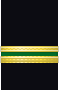 Sleeve insignia