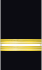 Sleeve insignia