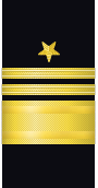 Sleeve insignia