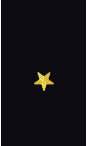 Sleeve insignia