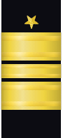 sleeve insignia