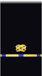 sleeve insignia