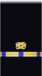 sleeve insignia