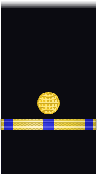 sleeve insignia