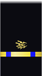 sleeve insignia