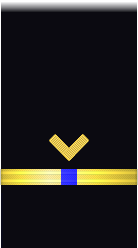 sleeve insignia