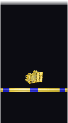 sleeve insignia