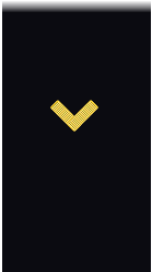 sleeve insignia