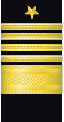 sleeve insignia