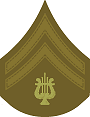 grade insignia