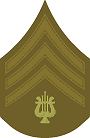 grade insignia