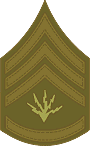 grade insignia