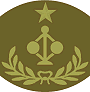 grade insignia