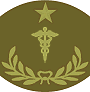 grade insignia