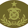 grade insignia