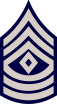 USAF Chevron