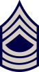 USAF Chevron