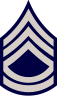 USAF Chevron