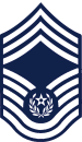 USAF Chevron