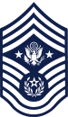 USAF Chevron