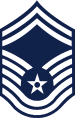 USAF Chevron