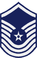 USAF Chevron