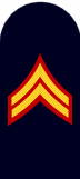 USMC dress blue insignia