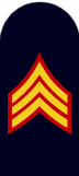 USMC dress blue insignia