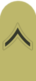 USMC khaki insignia