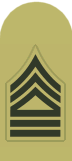 USMC blue insignia
