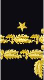 sleeve insignia