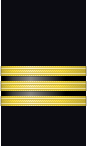 Sleeve insignia