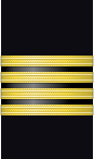 Sleeve insignia