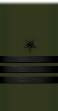 sleeve insignia