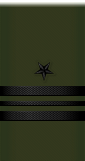 sleeve insignia