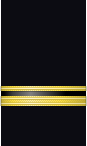 Sleeve insignia