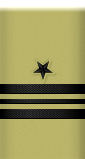 sleeve insignia