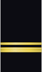 sleeve insignia