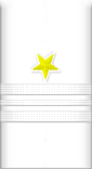 sleeve insignia