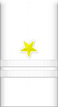 sleeve insignia