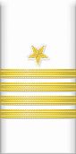 sleeve insignia