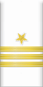 sleeve insignia