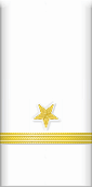 sleeve insignia