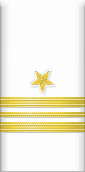 sleeve insignia