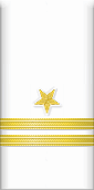 sleeve insignia