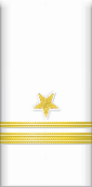 sleeve insignia