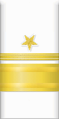 sleeve insignia