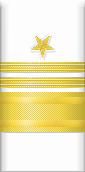 sleeve insignia