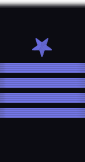 sleeve insignia