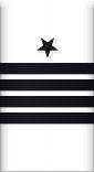 sleeve insignia